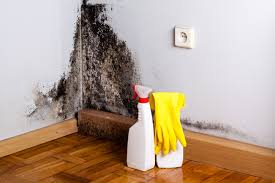 Dehumidification Services in Millbury, OH